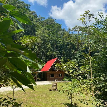 Chalé em meio à natureza! Guabiruba Exterior foto