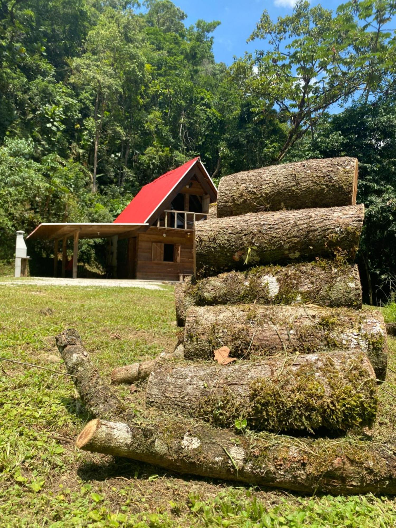 Chalé em meio à natureza! Guabiruba Exterior foto