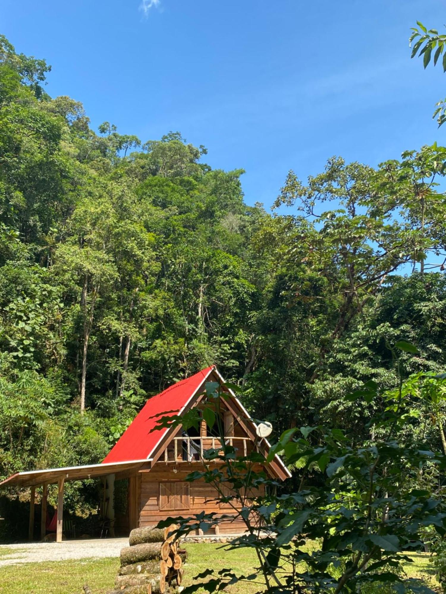 Chalé em meio à natureza! Guabiruba Exterior foto